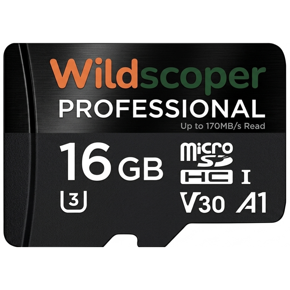 Carte SD 16Go